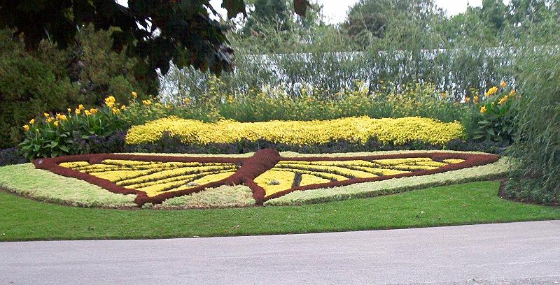 flower butterfly.jpg - Flower Garden